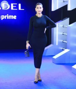 Who Attended Priyanka Chopra & Richard Madden's Citadel Promotion?